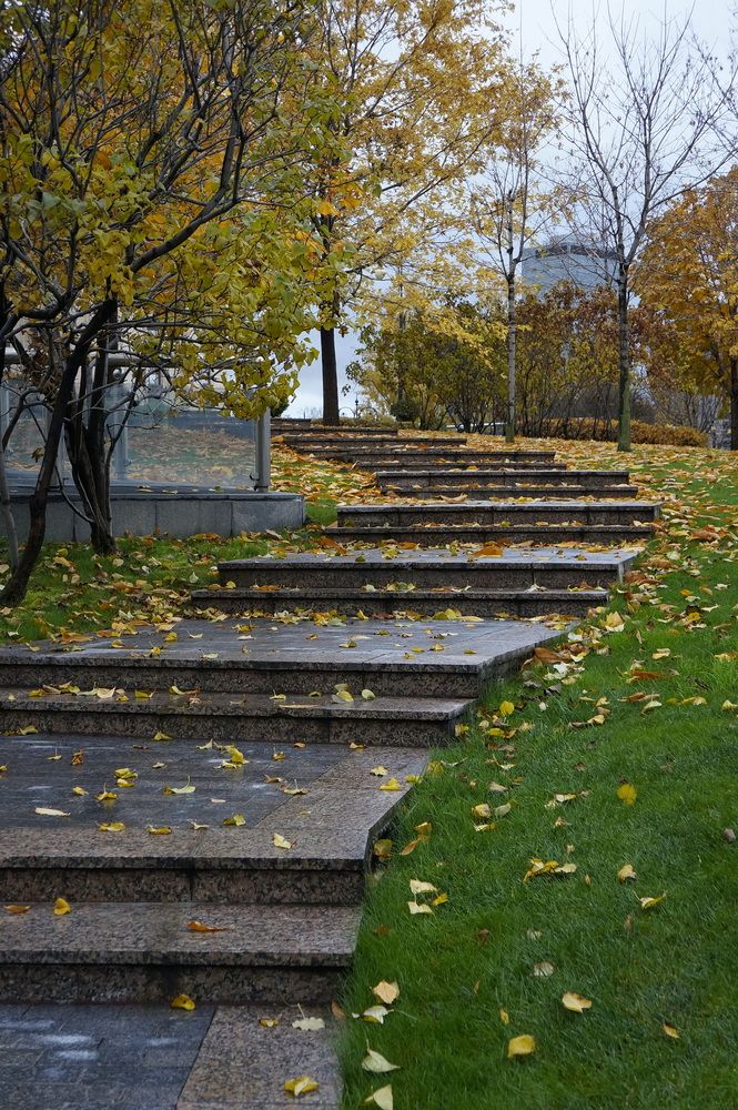 Фотография автора Юрий Еремин