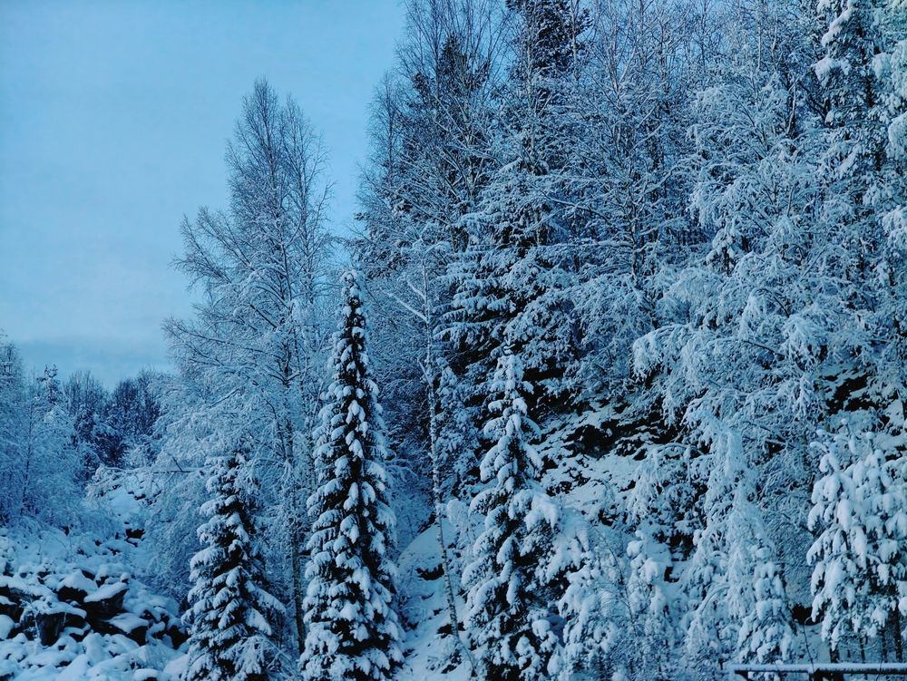 Photograph by Дарина Ворошилова
