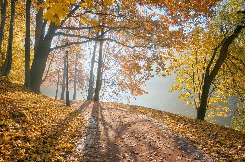 Photograph by Александр Гришин