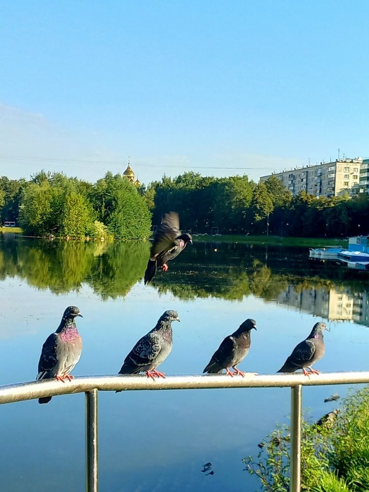 Photograph by Яна