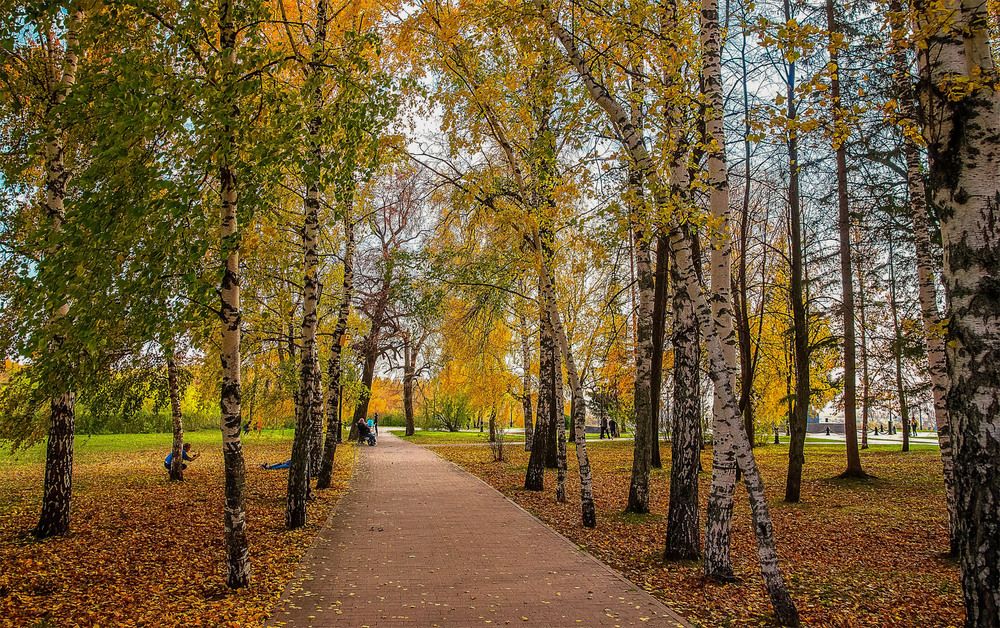 Photograph by Пушкин Сергей