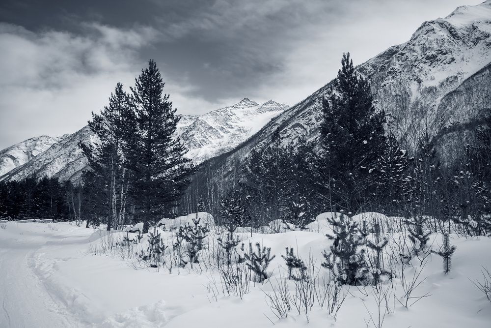 Photograph by Сергей Тельнюк