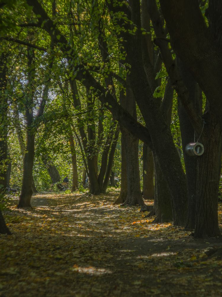 Фотография автора Сергей Кравцов