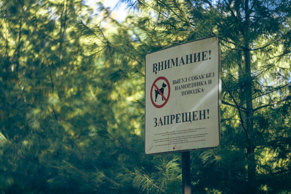 Фотография автора Сергей Кравцов