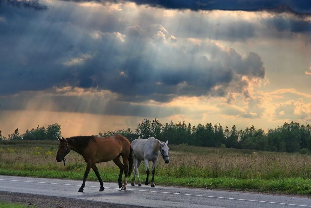 Фотография автора Станислав Староверов