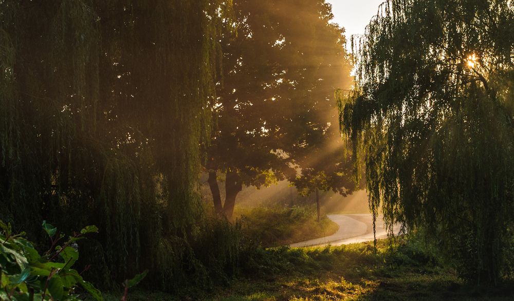 Photograph by Владимир Безбородов