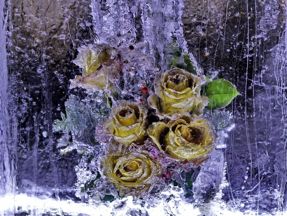 Photograph by Станислав Староверов