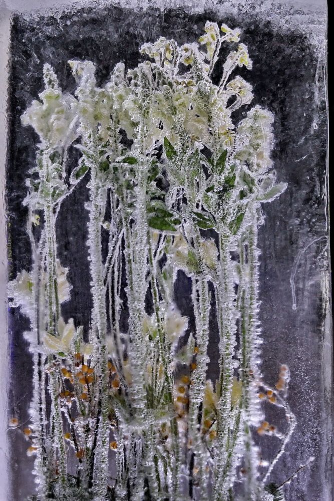 Photograph by Станислав Староверов