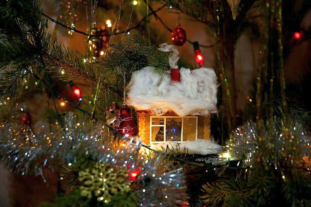 Photograph by Андрей Стародубцев