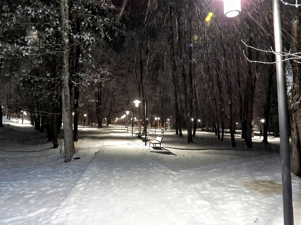 Photograph by Александр Шаварин