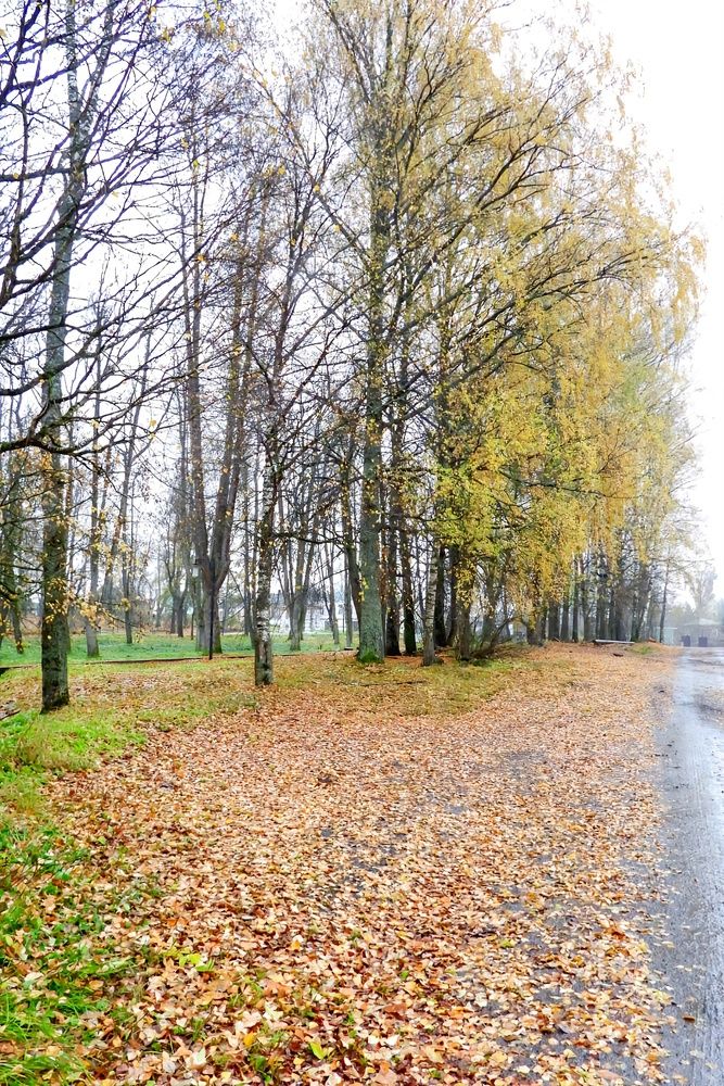 Photograph by Александр Шаварин