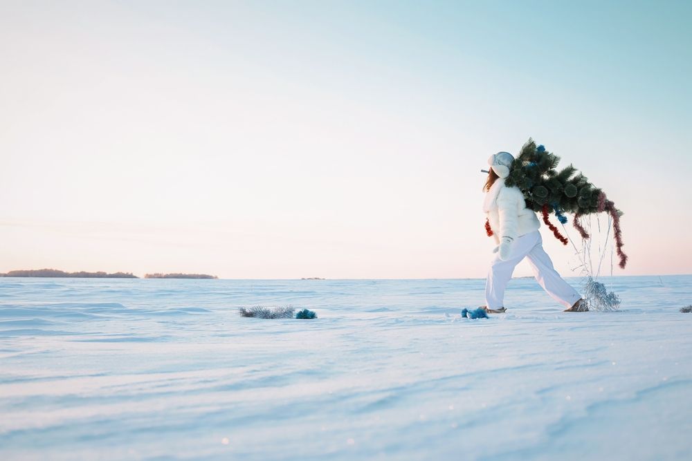 Photograph by Александра Токарева