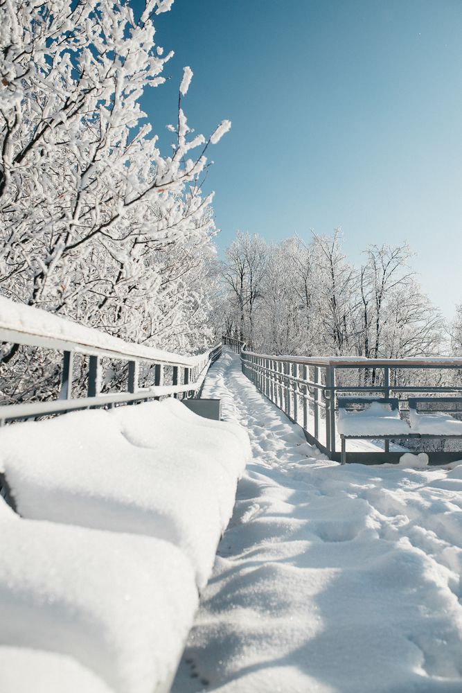 Photograph by Алексей Раимун