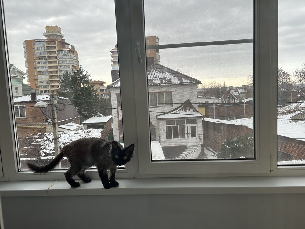 Зизи
