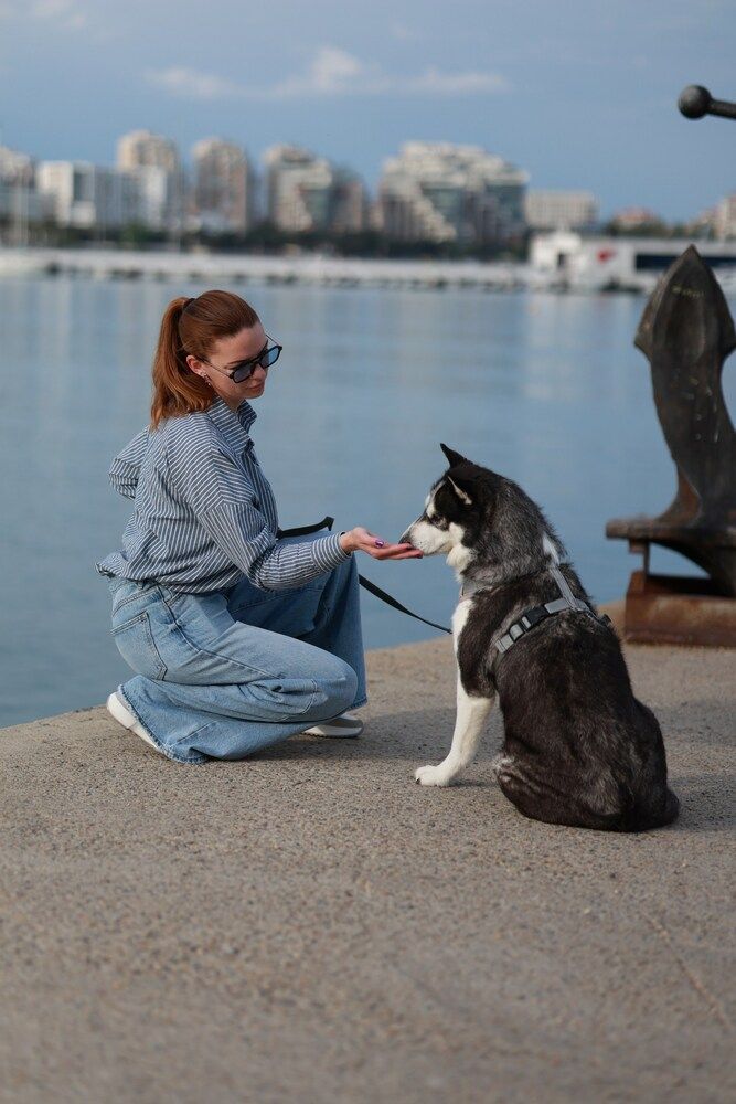 Photograph by Юлия Демченко