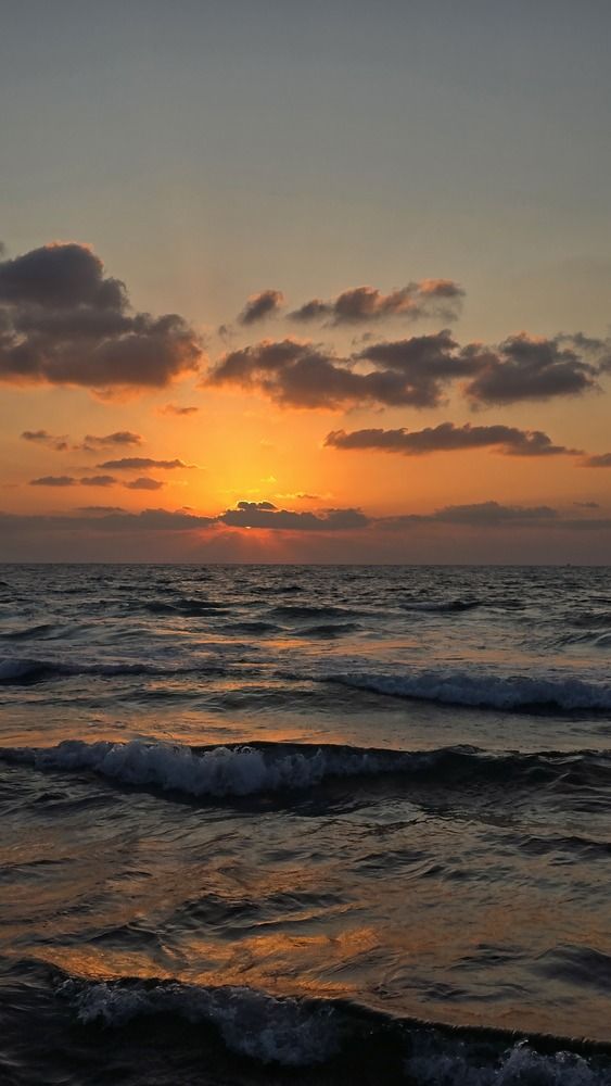 Israel begins here