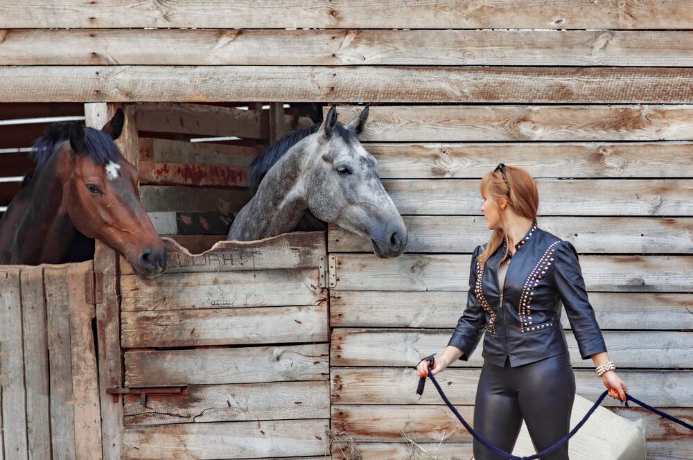 Фотография автора Николай Нестеренко