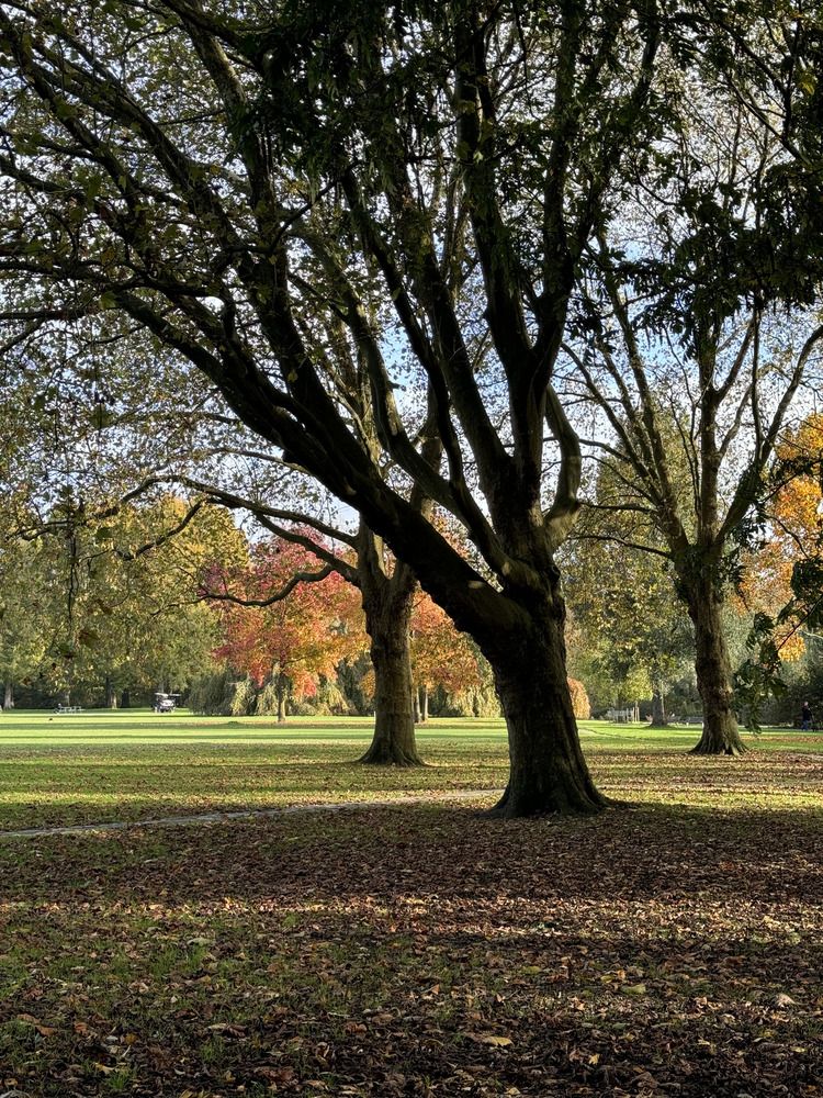 Photograph by Вера Короткова