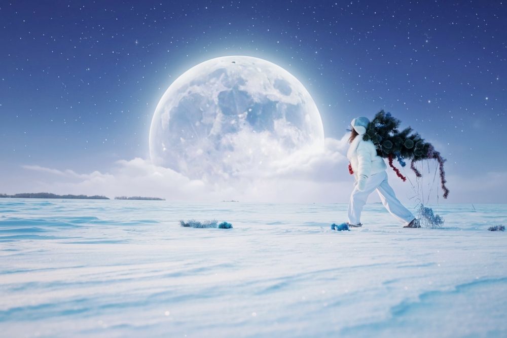 Photograph by Александра Токарева