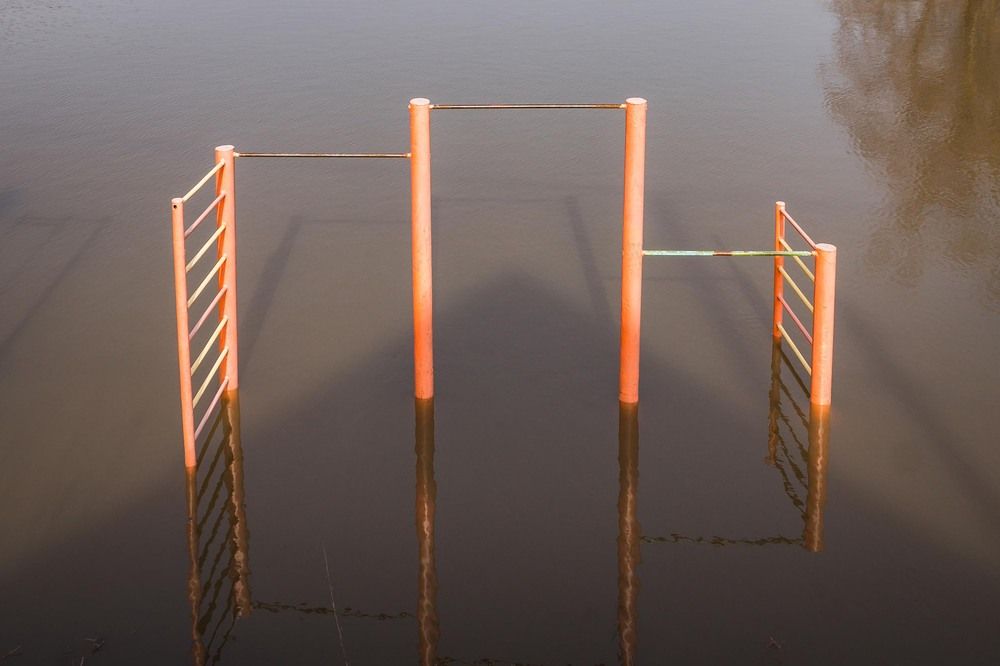 Photograph by Alexander Novikov