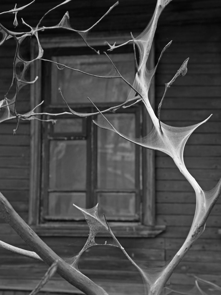 Фотография автора Александр Кожевников