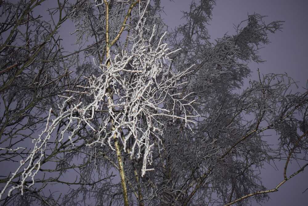 Photograph by Evelīna Radelicka
