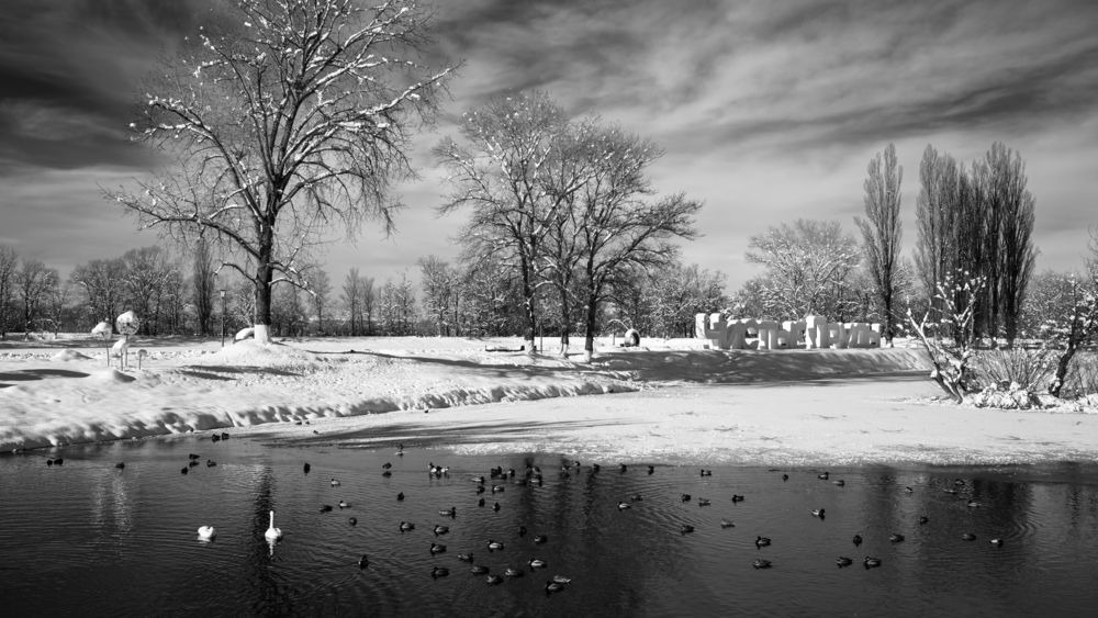 Photograph by Анастасия Богомолова