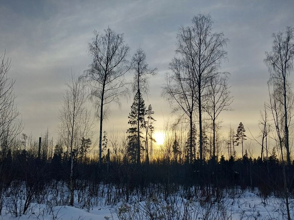 Photograph by Олеся Матвеева
