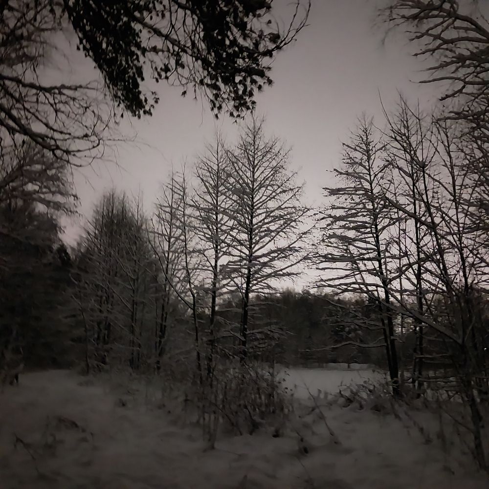 Photograph by Олеся Матвеева
