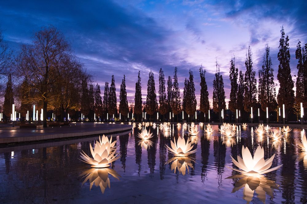 Photograph by Анастасия Богомолова