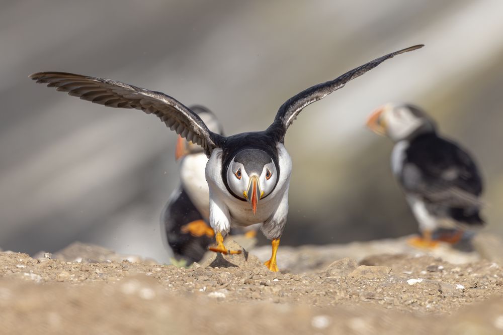 Photograph by Ellen Lichtenheldt