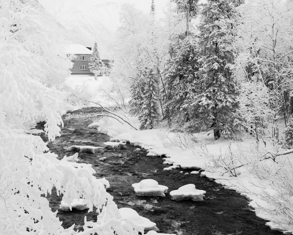 Photograph by Марсель Курячьева