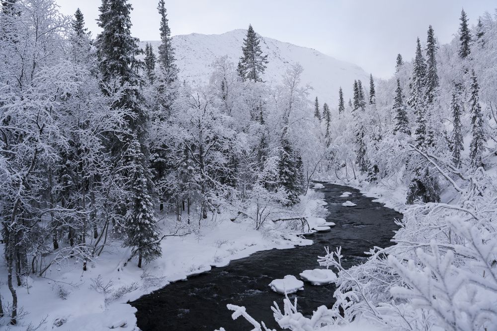 Photograph by Марсель Курячьева