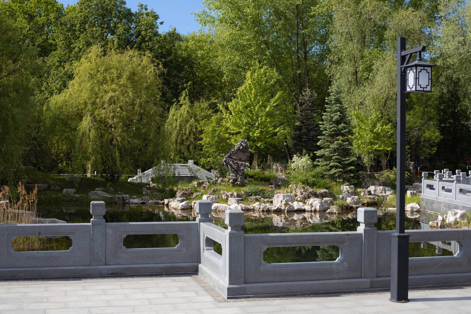 Фотография #13057154