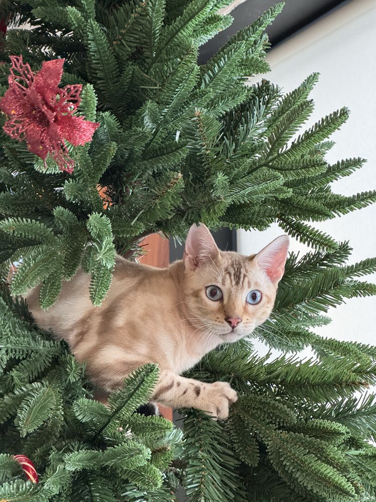 Photograph by Вера Короткова