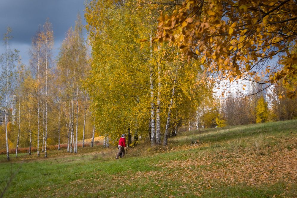 Photograph by Олег Дорошенко