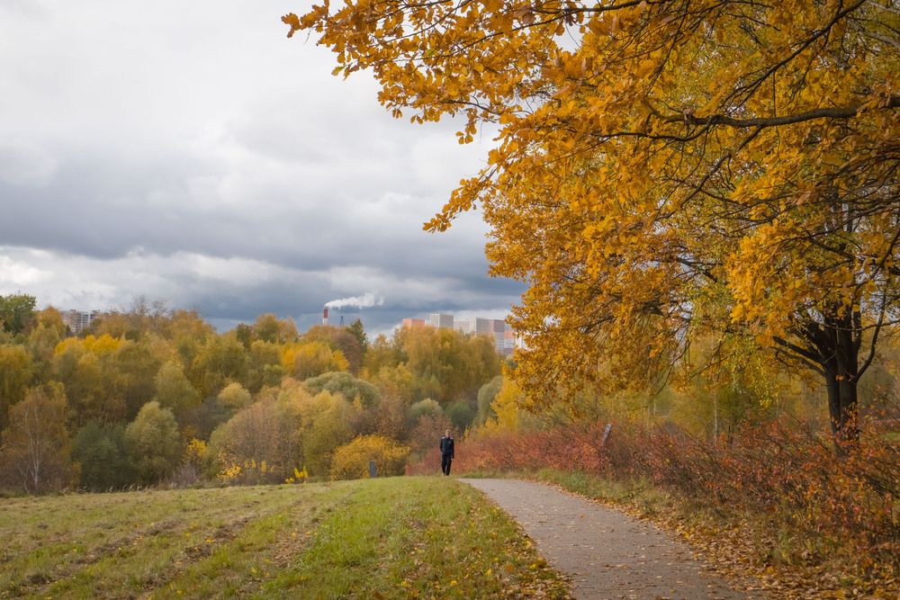 Photograph by Олег Дорошенко