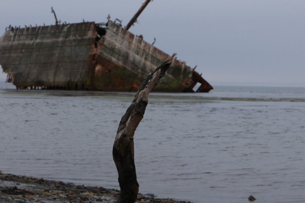 Photograph by Дашима