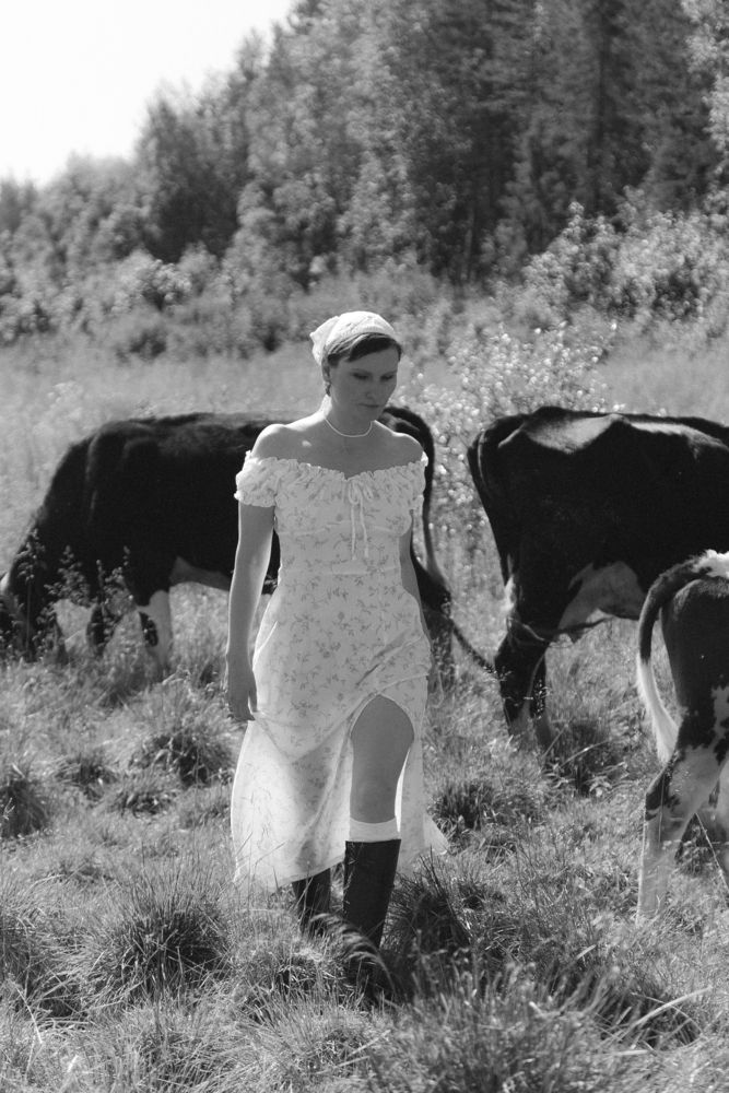 Photo #13057221