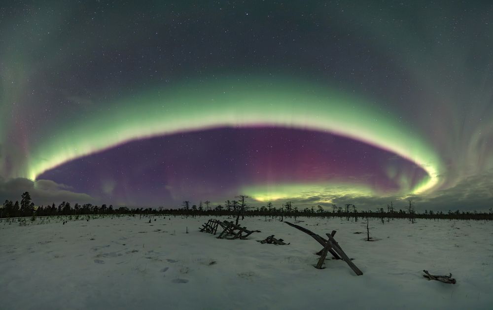 Фотография автора Дарина Соболь