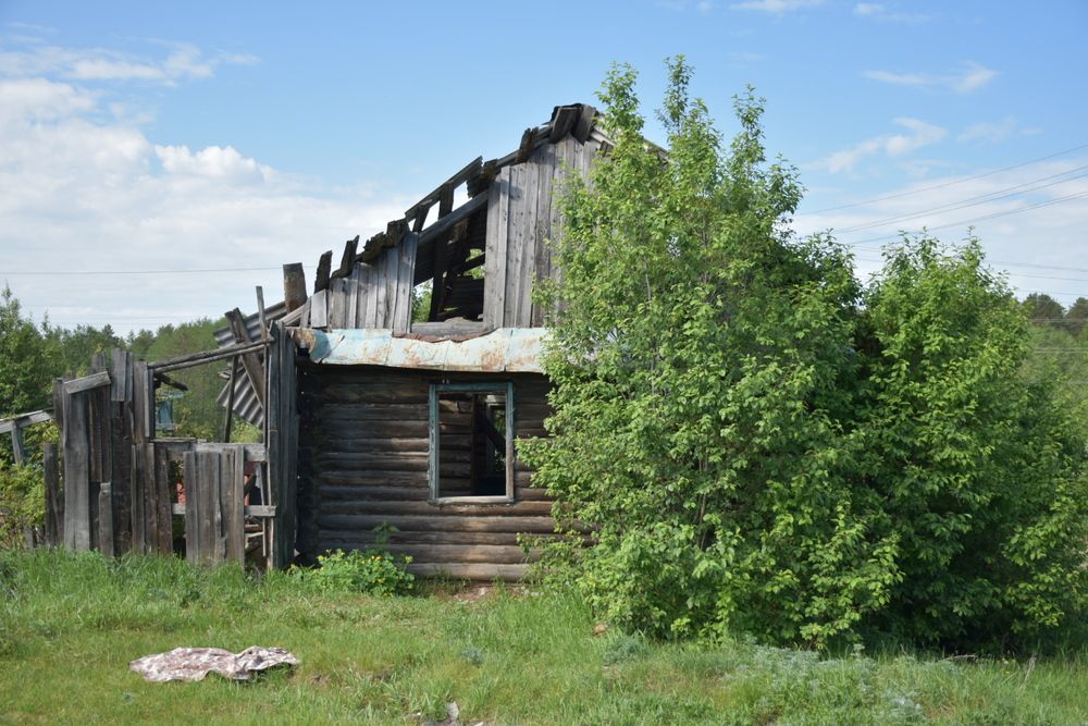 Photograph by Элеонора Безженова