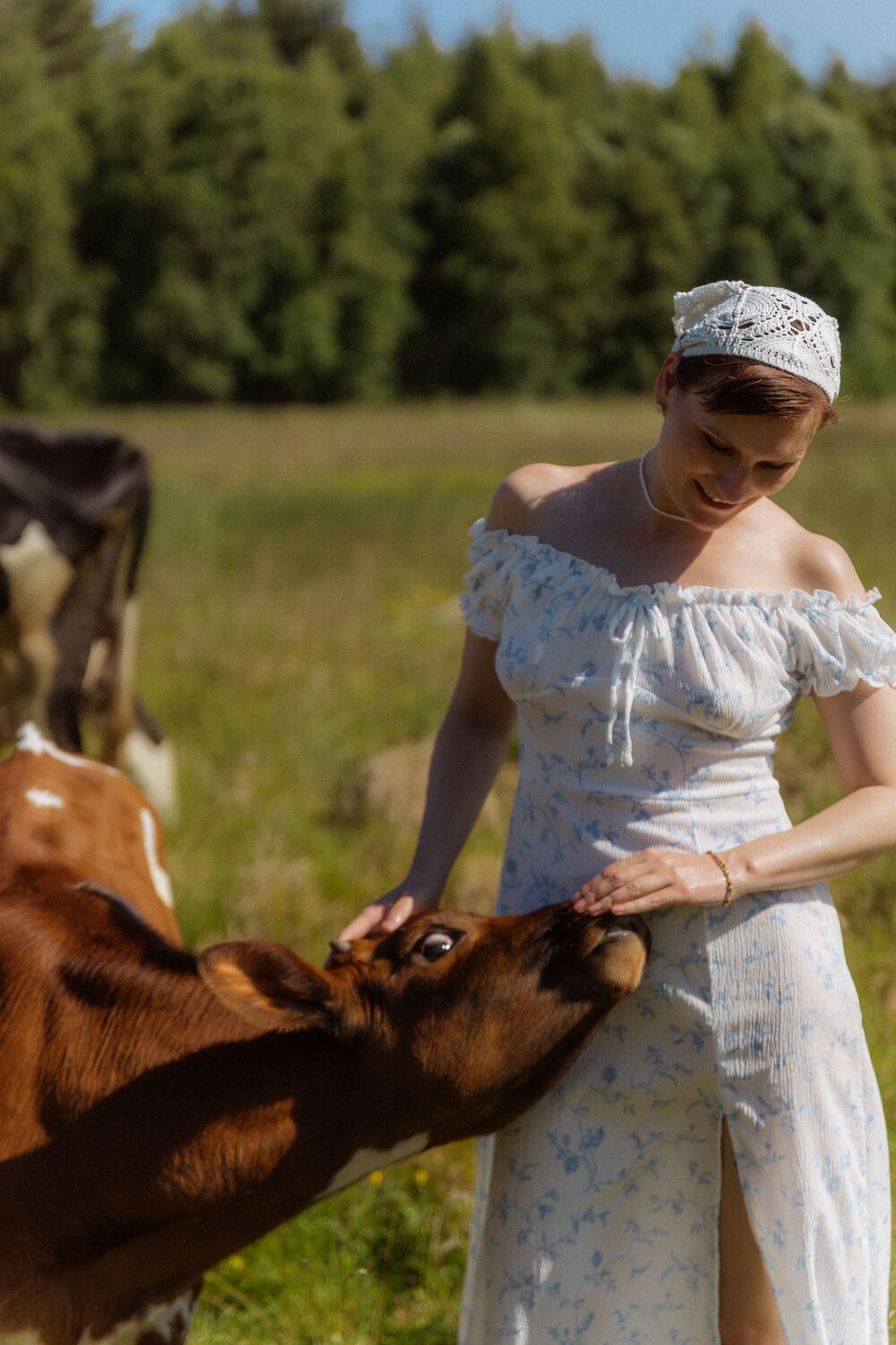 Photo #13057277