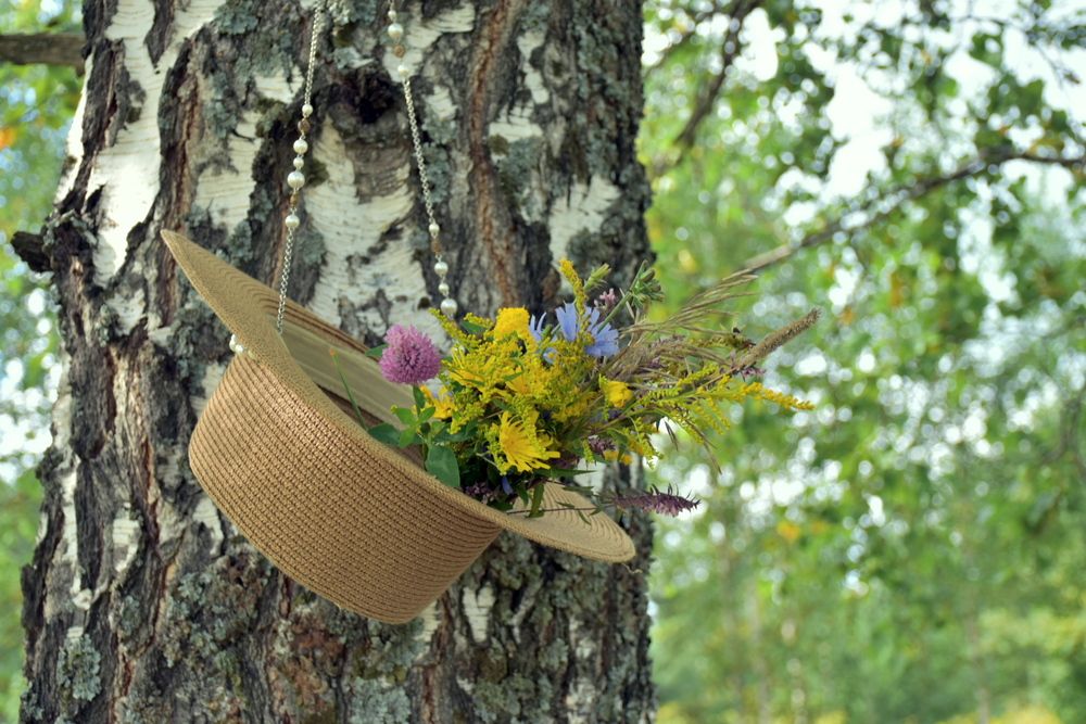 Photograph by Элеонора Безженова