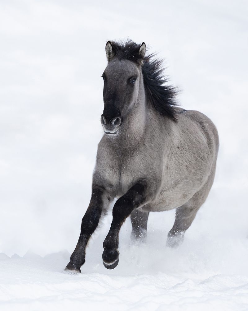 Photograph by Helena