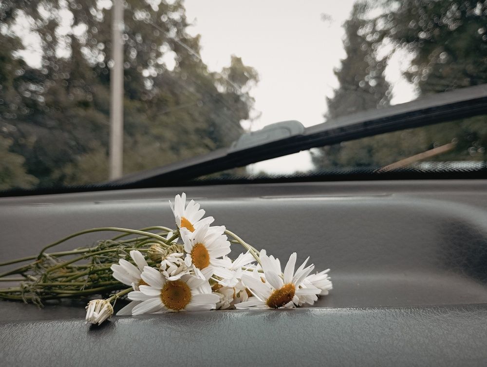 В деревню к дедушке