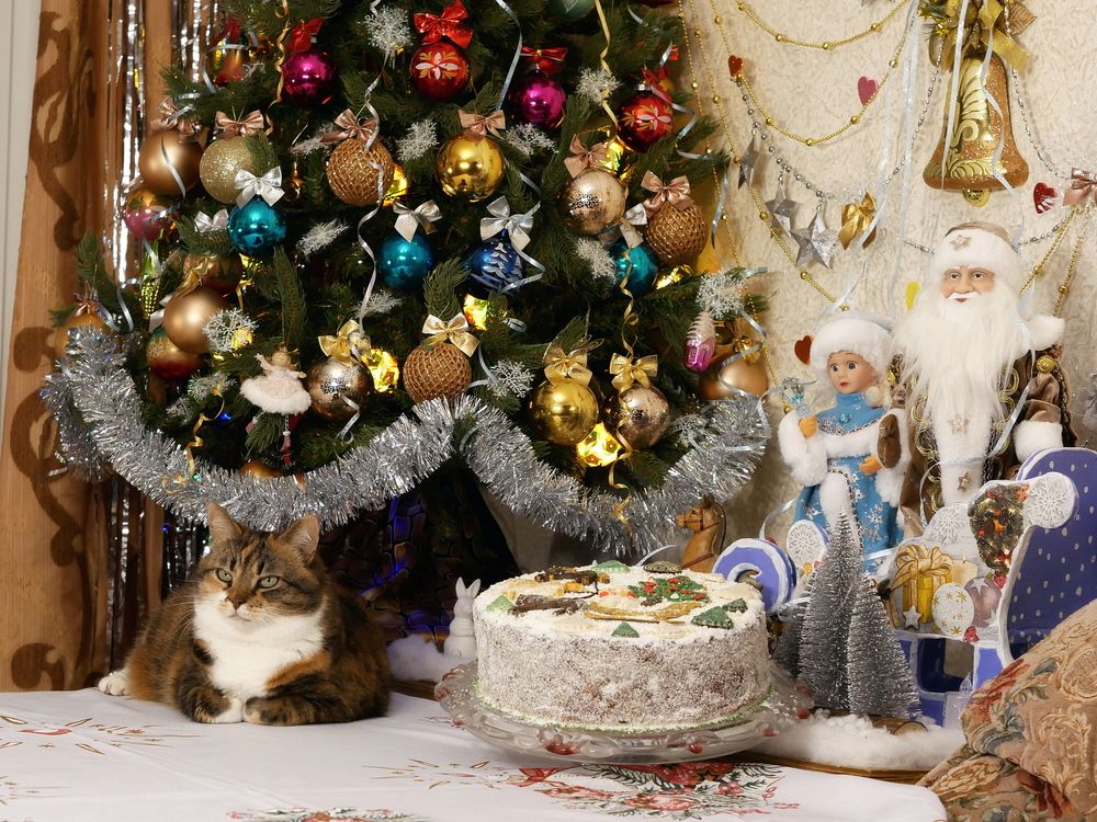 Photograph by Владимир Лобанов