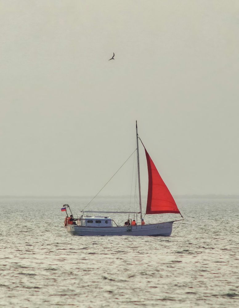 Photograph by Инна Майорова