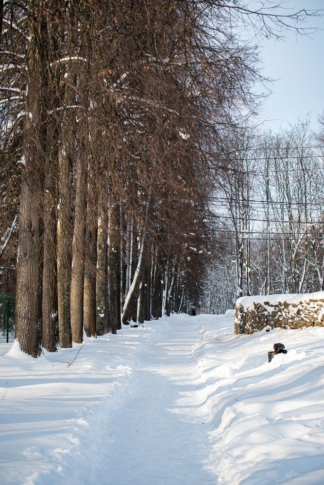 Photograph by Ксения Шилина