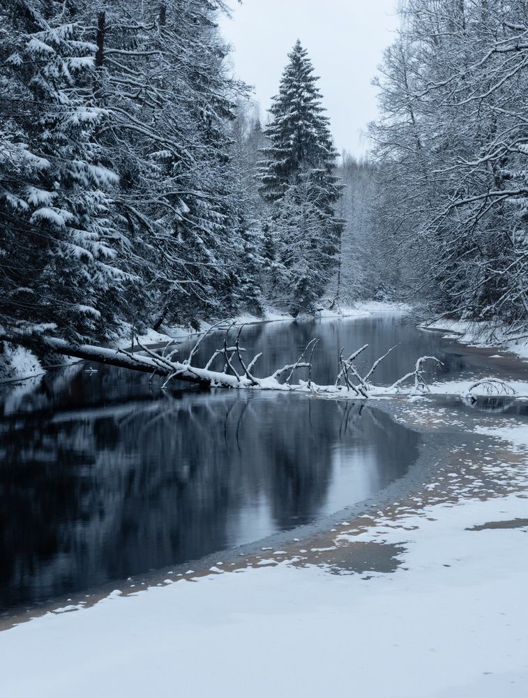 Photograph by Alexey S