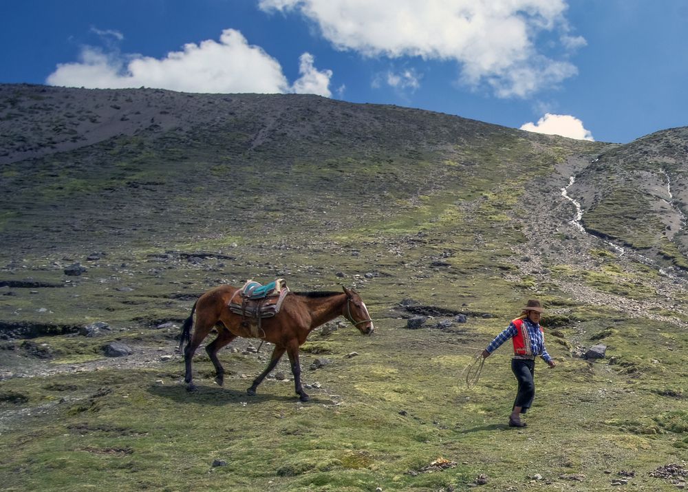 Фотография автора Mojtaba Chenari